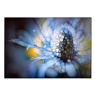 Eisdistel Acrylic Wall Art