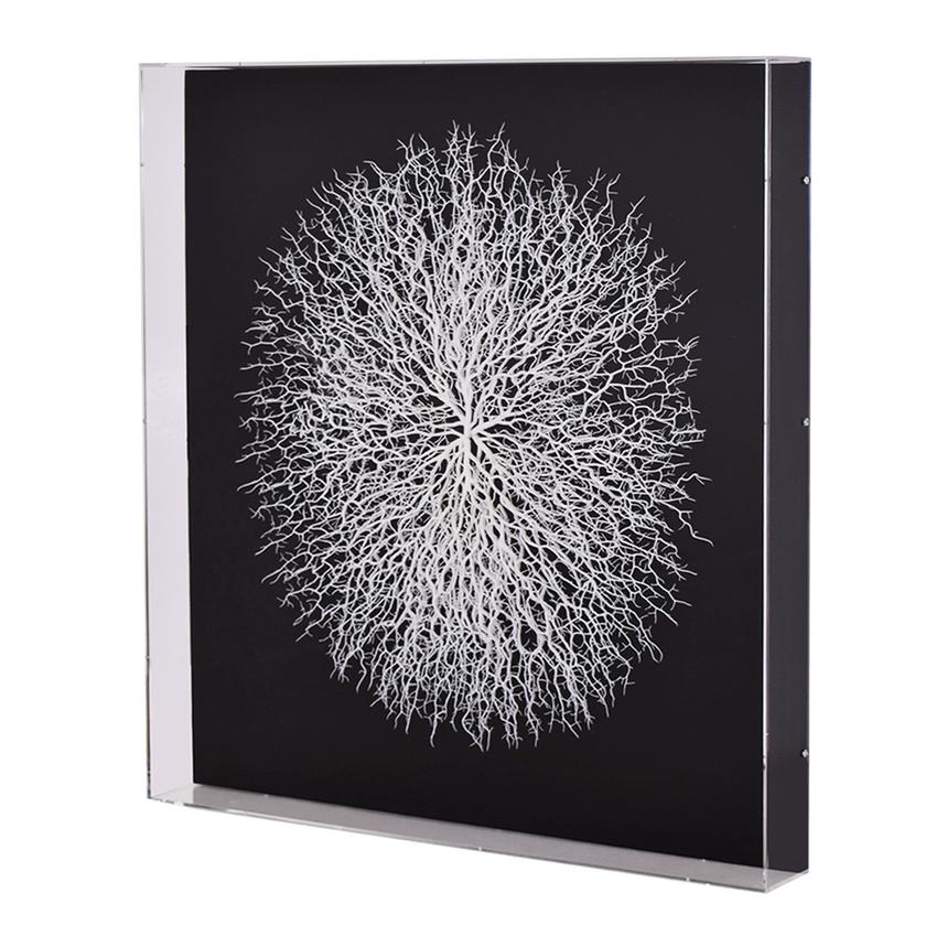 50cm Sea Fan /Fern for Shadow Boxes or Creating Amazing Wall Art Details about   1pce 35cm 