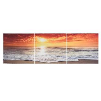 Mer Set of 3 Acrylic Wall Art