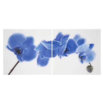 Orchidee Blue Set of 2 Acrylic Wall Art