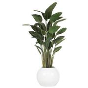 Zaya Planter  main image, 1 of 5 images.