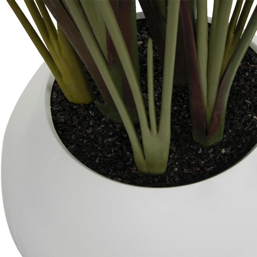 Zaya Planter alternate image, 5 of 5 images.