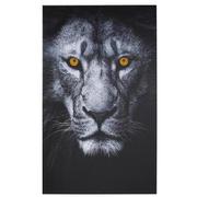 Lion Acrylic Wall Art  main image, 1 of 4 images.