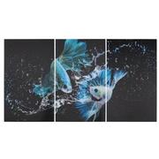 Betta Fish Set of 3 Acrylic Wall Art  main image, 1 of 3 images.