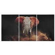 Elephant Set of 3 Acrylic Wall Art  main image, 1 of 3 images.