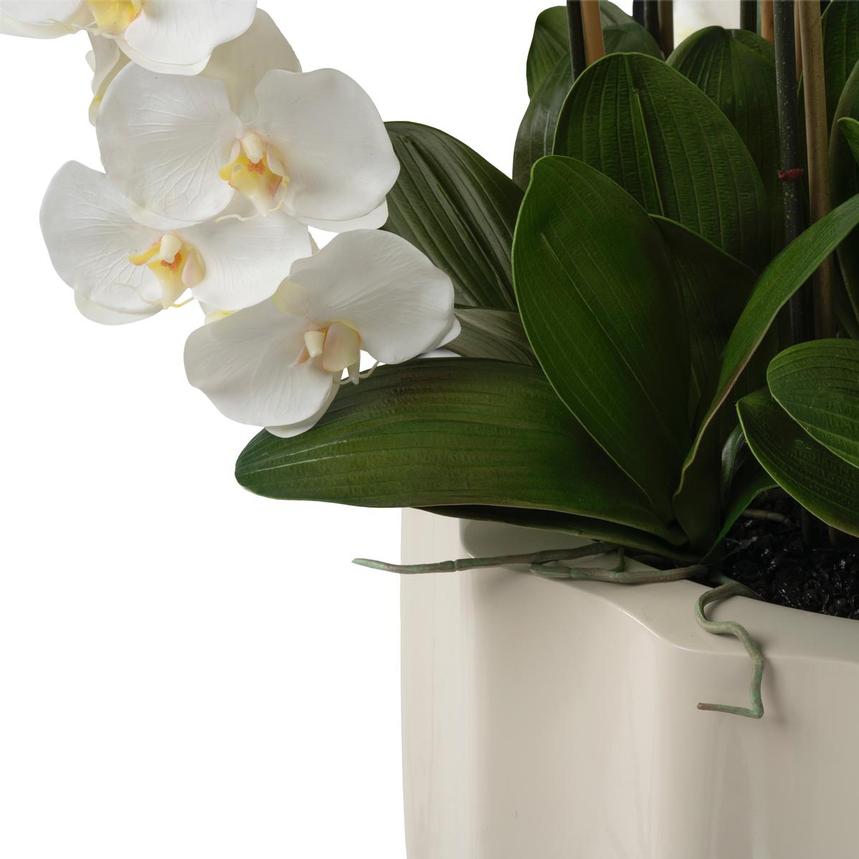 Noir Beige Flower Arrangement alternate image, 3 of 4 images.