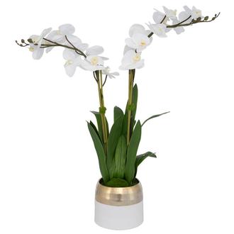 Asli Flower Arrangement