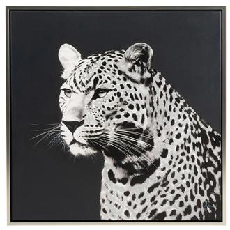 Cheetah II Canvas Wall Art