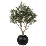 Antakya Black Planter  main image, 1 of 5 images.