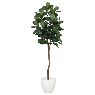 Jemima Planter