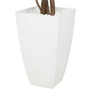 Maacah Planter  alternate image, 4 of 6 images.