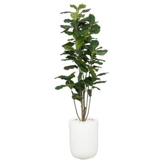 Neriah Planter