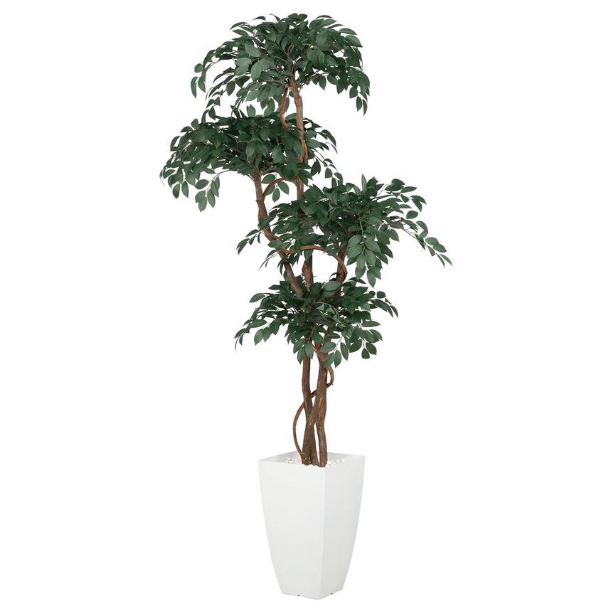 Maacah Planter main image, 1 of 6 images.