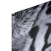 Stealth And Strength Acrylic Wall Art  alternate image, 3 of 5 images.