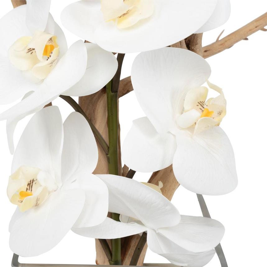 Agatha Plant  alternate image, 5 of 6 images.