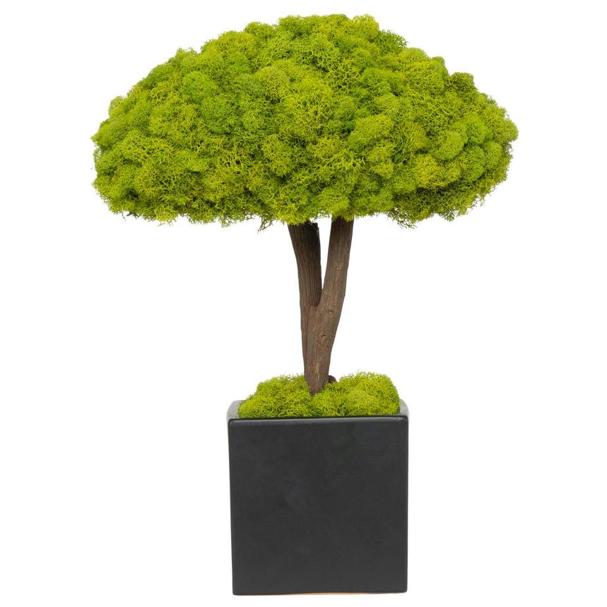 Bazily Plants Decor  alternate image, 2 of 6 images.