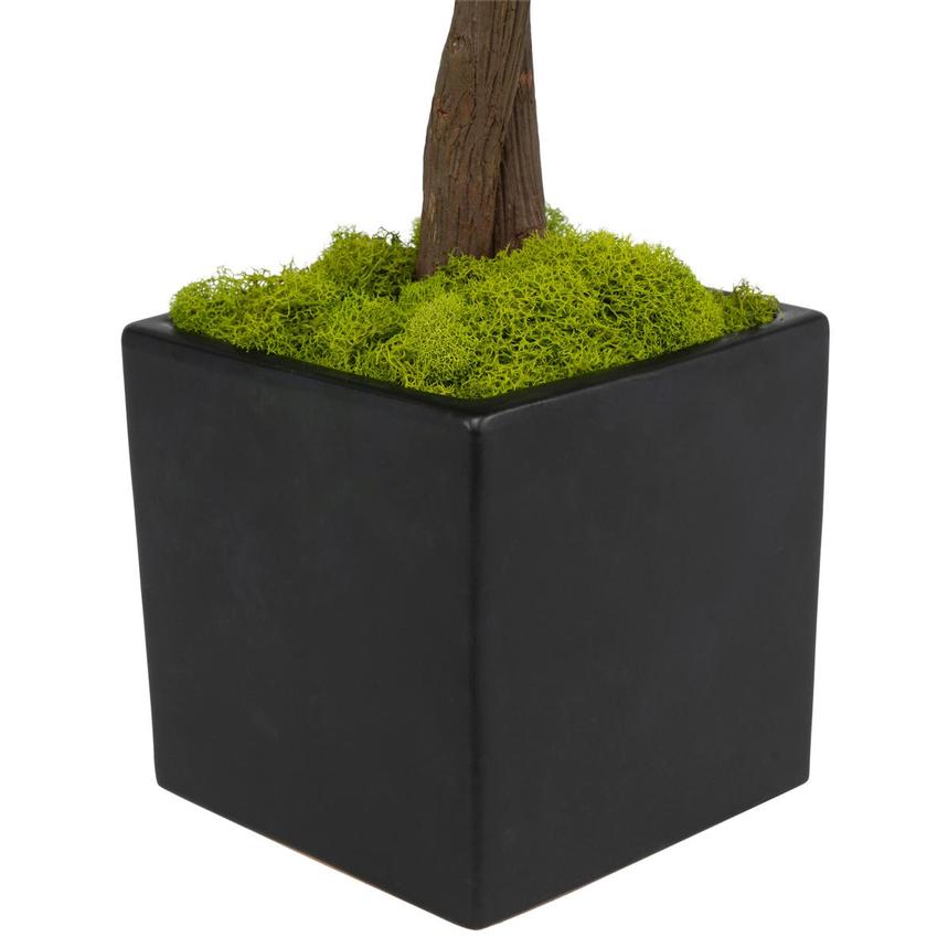 Bazily Plants Decor  alternate image, 5 of 6 images.