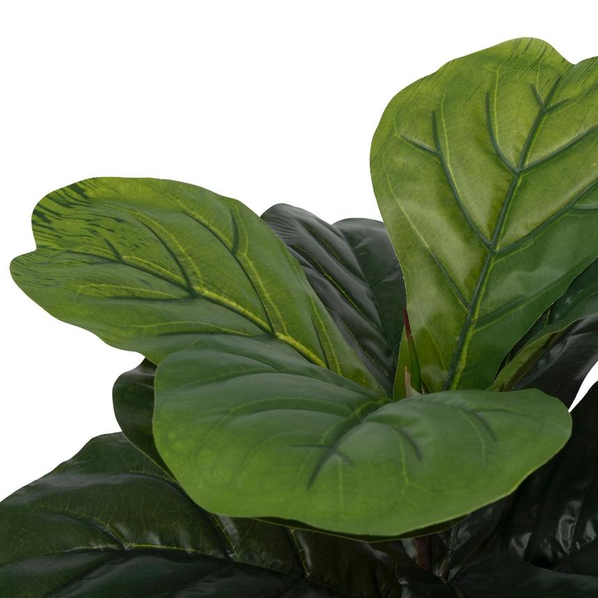 Zuzanna Plant alternate image, 5 of 5 images.