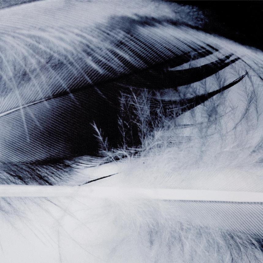 Feather Light Wall Art alternate image, 3 of 3 images.