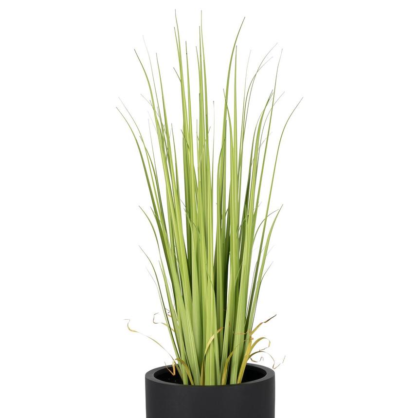 Bonaroo Planter alternate image, 5 of 8 images.