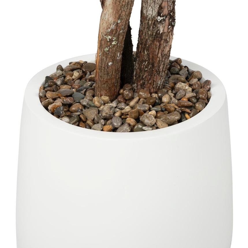 Ligia Planter alternate image, 8 of 9 images.
